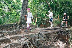 BIB: 
                            <button type="button" onclick="openModal(27720085)" class="btn btn-primary btn-sm float-right btn-popup" data-toggle="modal" data-target=".modal-high-quality">
                        <i class="fas fa-shopping-cart"></i> Add to Cart
                    </button>
                                            <button type="button" onclick="isThisMe(27720085, true)" class="btn btn-success btn-sm float-right btn-popup btn-isme hidden" data-toggle="tooltip" data-placement="bottom" title="นี่คือรูปของคุณใช่ไหม คลิกที่นี่เพื่อเอาเข้าอัลบั้ม">
                        <i class="fas fa-plus"></i> Add to album
                    </button>
                    <button type="button" onclick="isThisMe(27720085, false)" class="btn btn-warning btn-sm float-right btn-popup btn-isnotme hidden">
                        <i class="fas fa-ban"></i> Remove from album
                    </button>